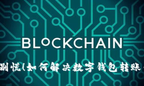 “支付错了?别慌!如何解决数字钱包转账错误的方法”