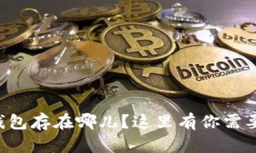 想知道加密钱包存在哪儿？这里有你需要了解的一切！