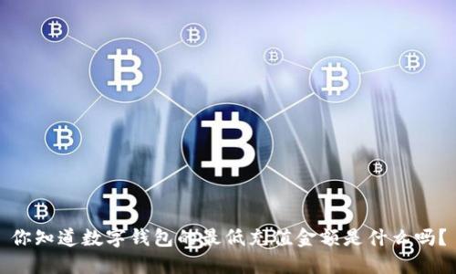 你知道数字钱包的最低充值金额是什么吗？