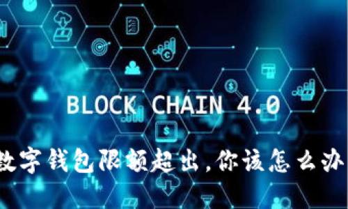数字钱包限额超出,你该怎么办?