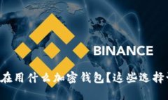 埃及人都在用什么加密钱包？这些选择
