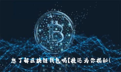 想了解区块链钱包吗?捷迅为你揭秘!