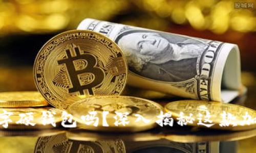你真的了解Magic3数字硬钱包吗?深入揭秘这款加密货币保管的新选择!