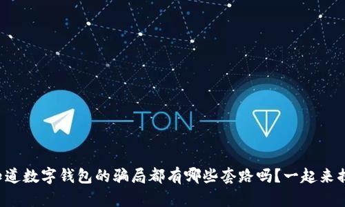你知道数字钱包的骗局都有哪些套路吗?一起来揭秘!