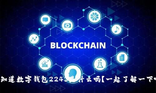 你知道数字钱包2243是什么吗?一起了解一下吧!