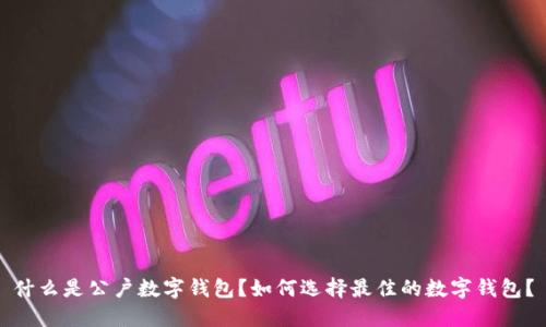 什么是公户数字钱包?如何选择最佳的数字钱包?