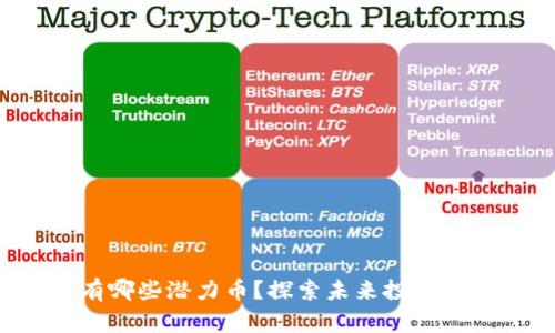 TP钱包里有哪些潜力币?探索未来投资的最佳选择!