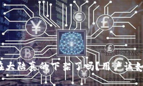 TP钱包在大陆真的下架了吗?用户该如何应对?
