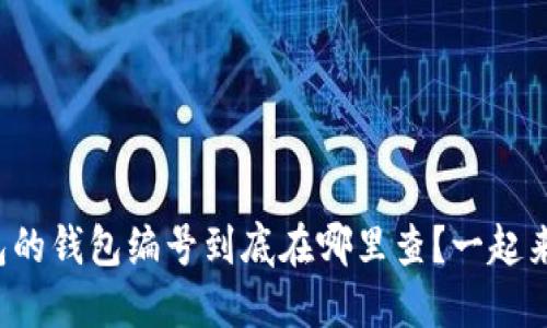 数字钱包的钱包编号到底在哪里查?一起来看看吧!